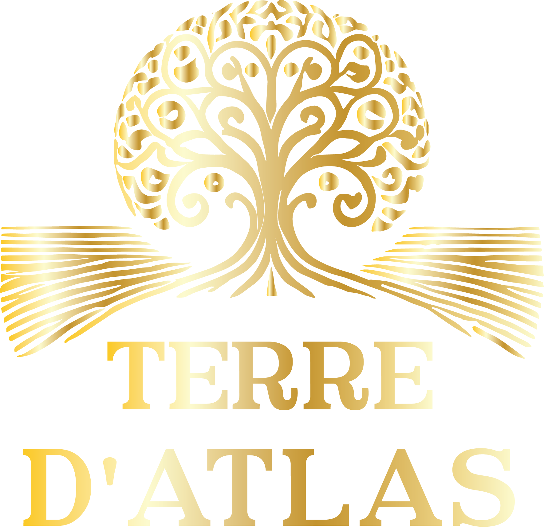 Terre d'Atlas